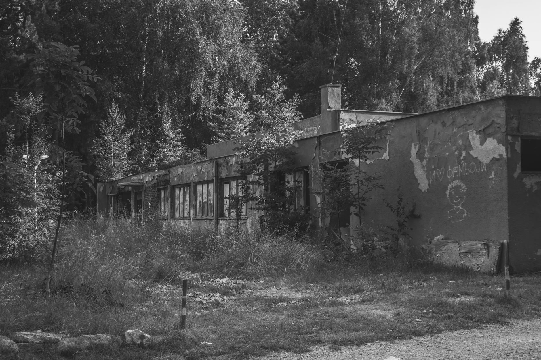 Zielone Świątki w Łomży: Tradycje, świętowanie i miejsca do odwiedzenia